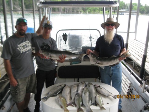 Nice Striped Bass